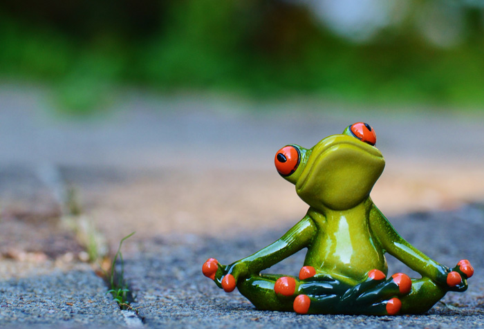 frog-yoga